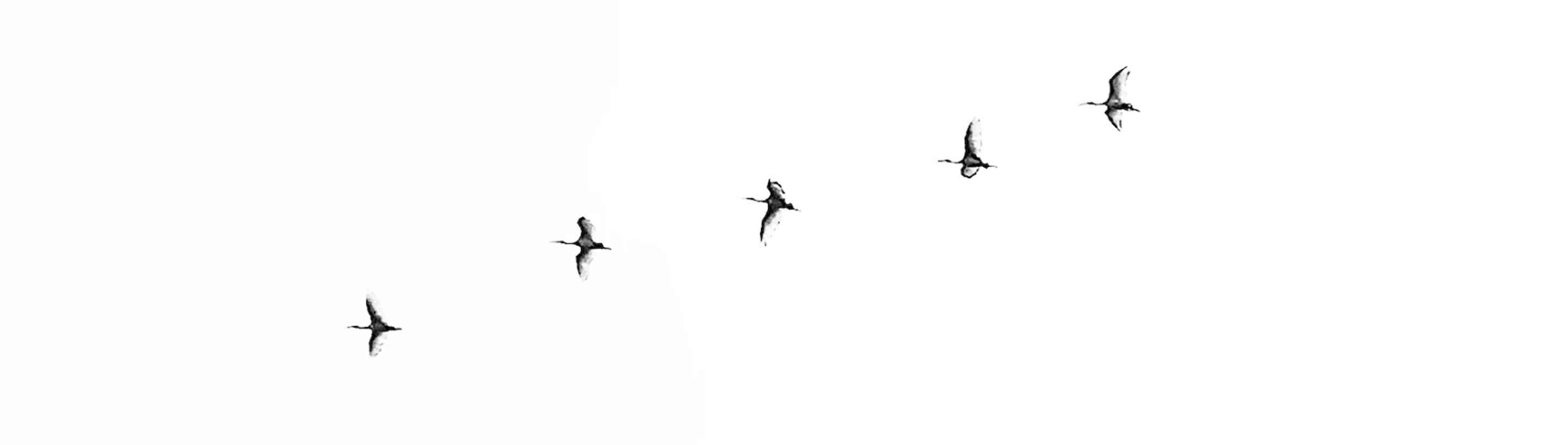 Давайте вместе создавать лучшее будущее!