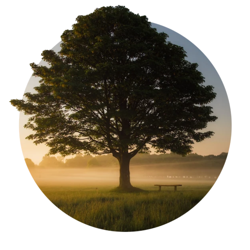 Зеленые материалы